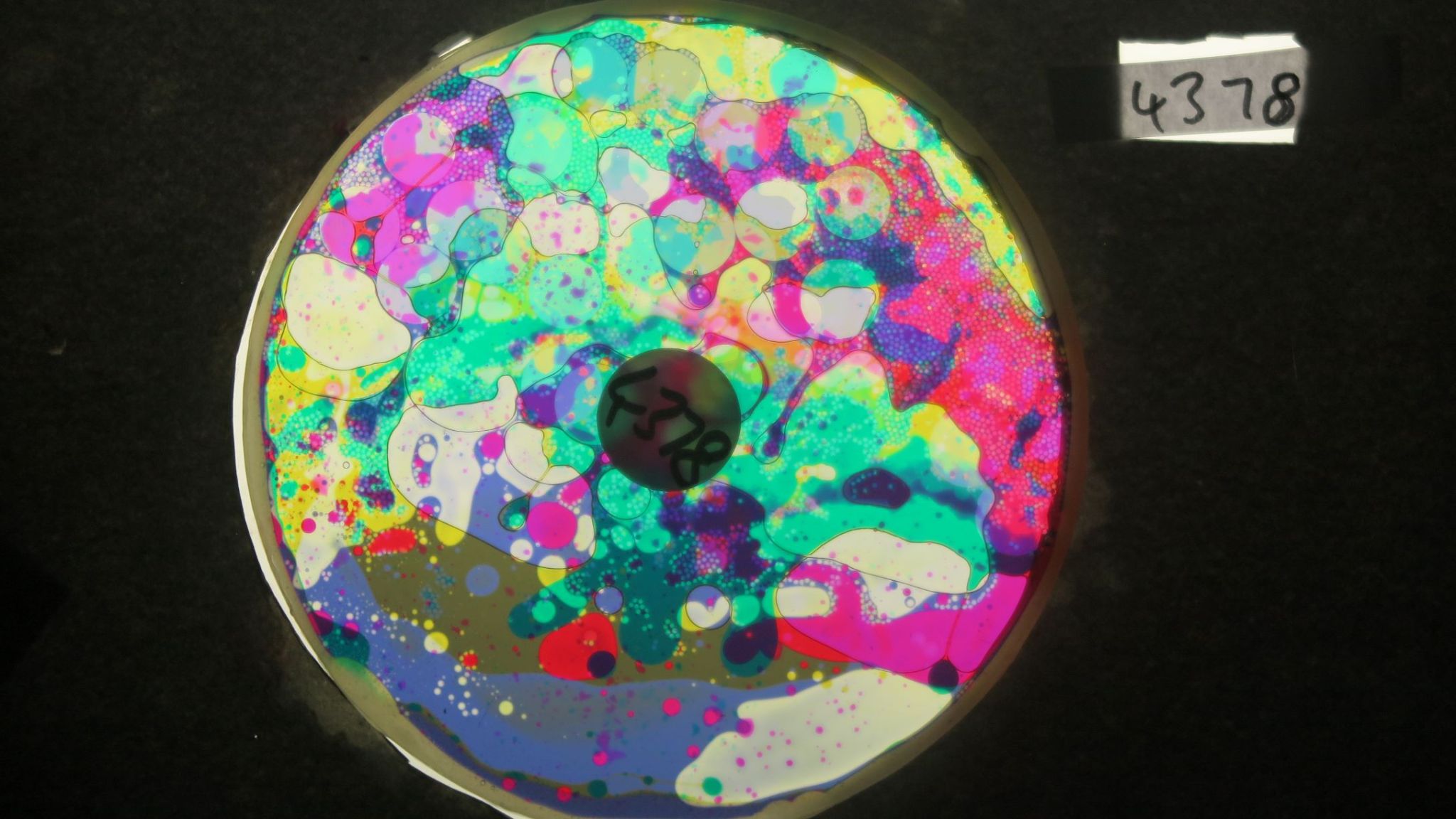 BV4378 bubble vision oil wheel